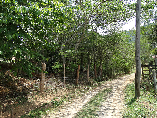 Área após o plantio. Foto de 2014. Área após o plantio. Foto de 2014.