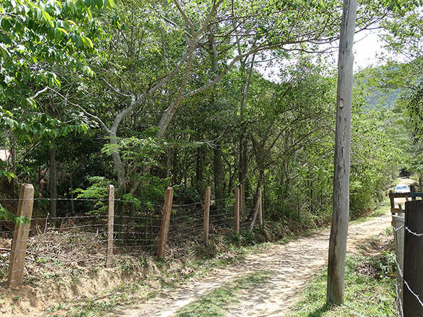 Área após o plantio. Foto de 2014. Área após o plantio. Foto de 2014.