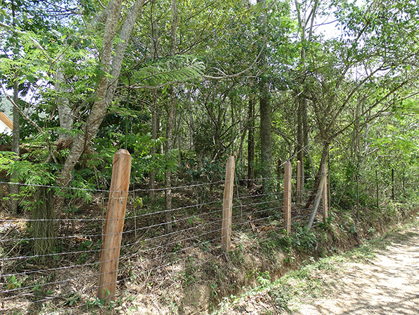 Área após o plantio. Foto de 2014. Área após o plantio. Foto de 2014.