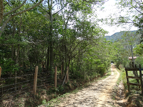 Área após o plantio. Foto de 2014. Área após o plantio. Foto de 2014.