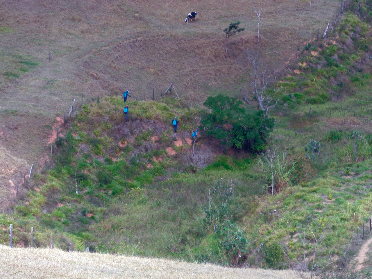 Restauração particular de áreas degradadas em Piquete, SP.