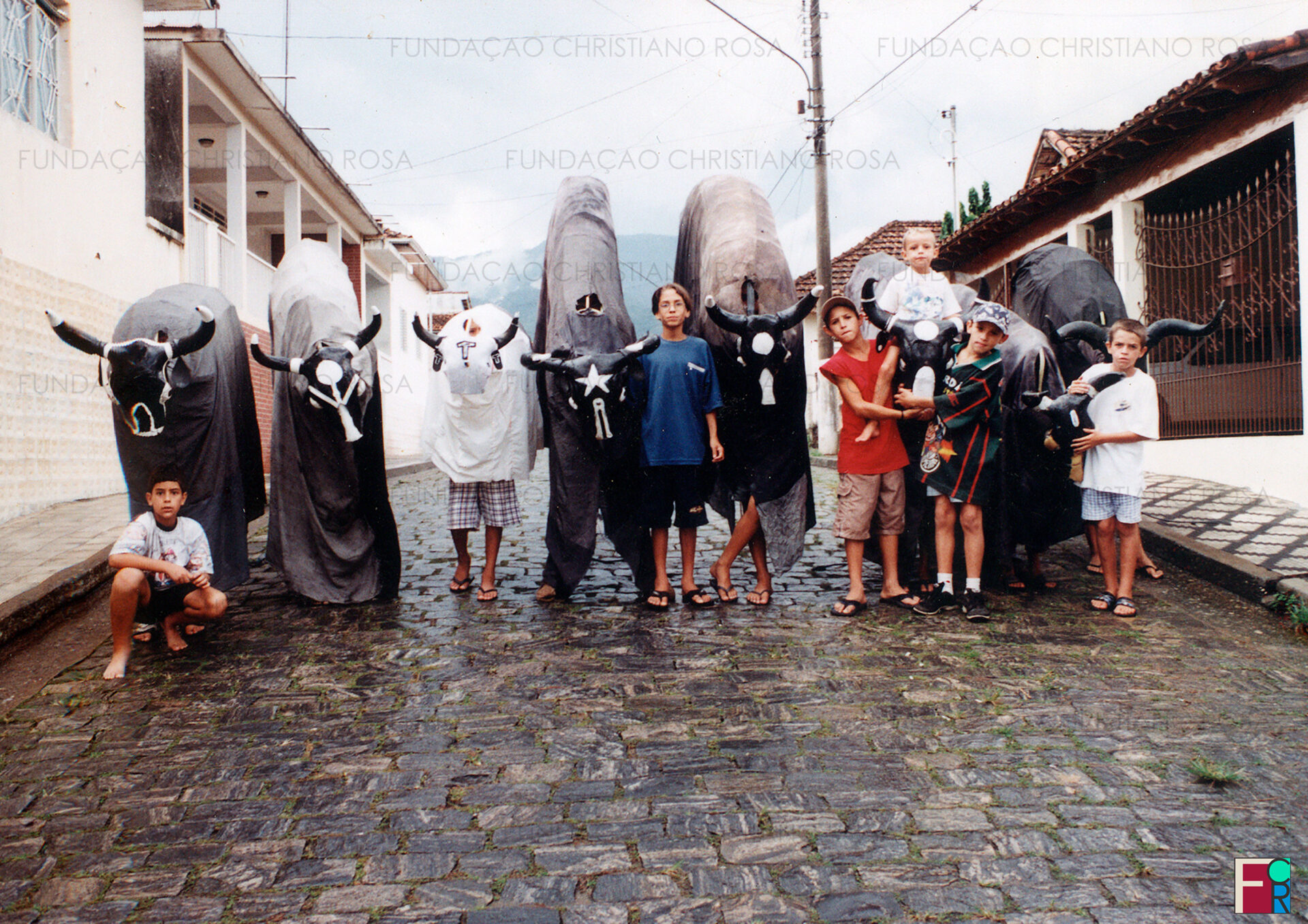 Bois de Carnaval na Rua Cel. Pederneiras, em Piquete, SP.