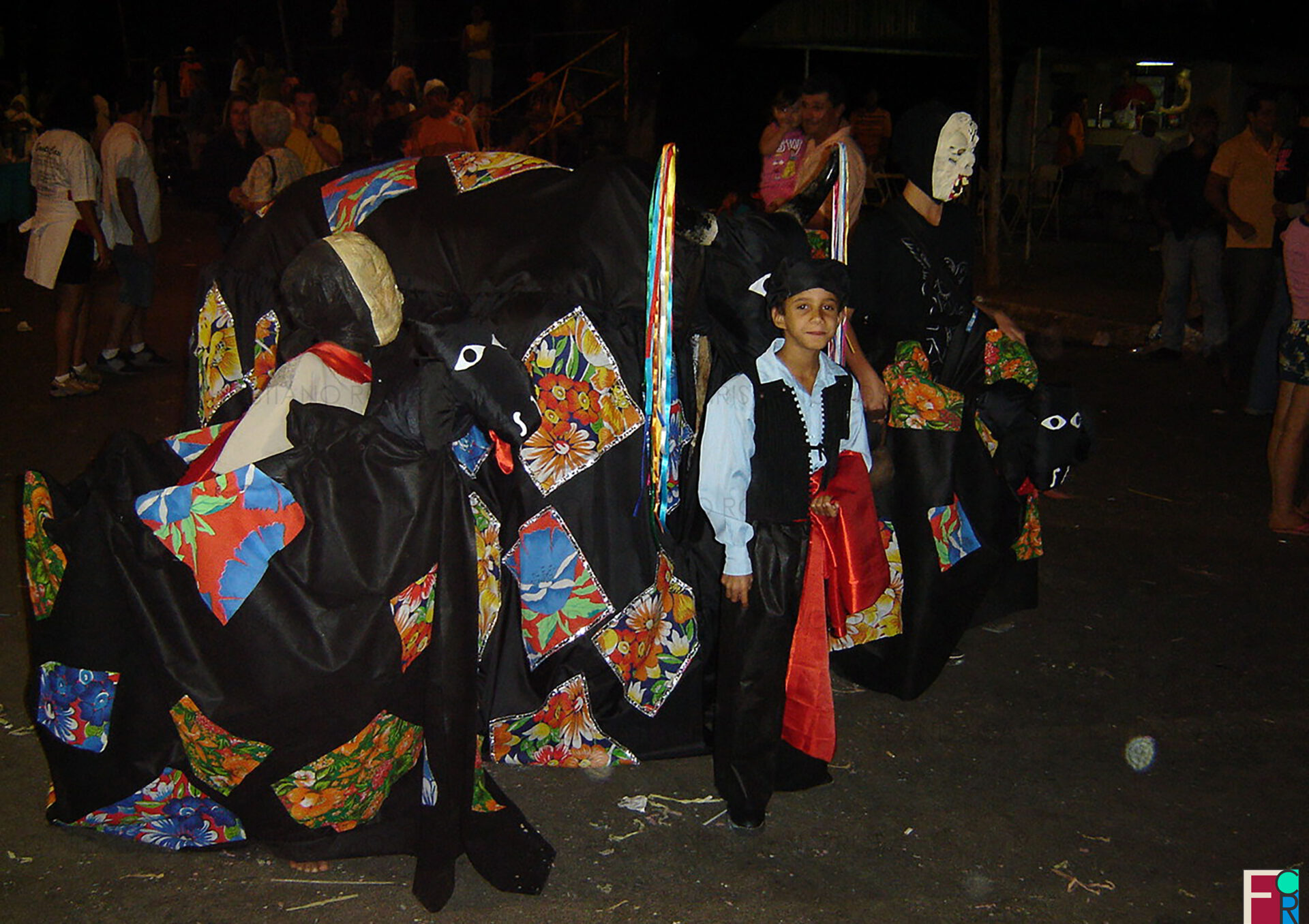 Boi de Carnaval vencedor do Concurso de Bois.
