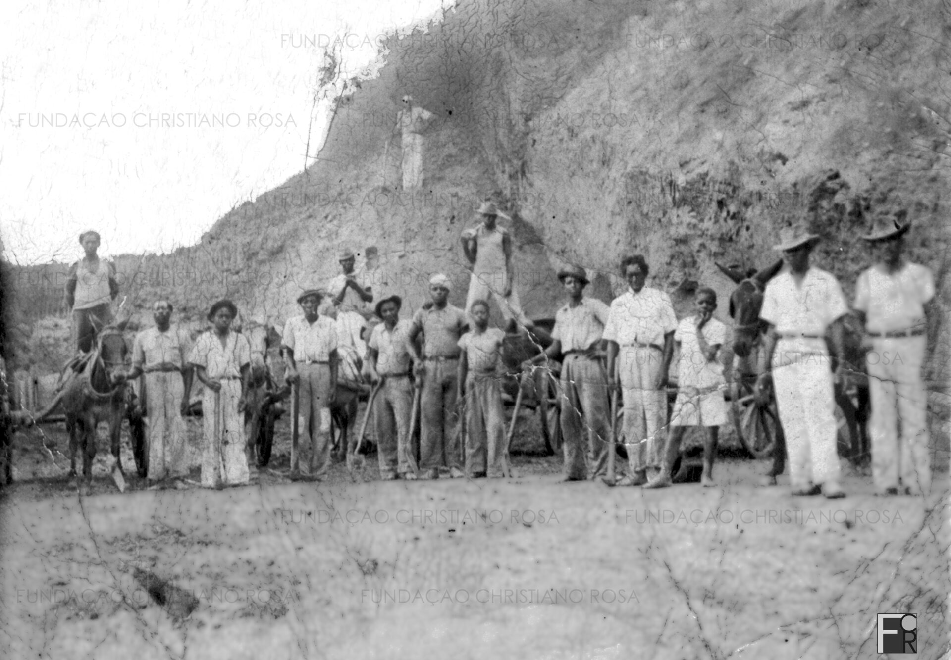 Os grandes auxiliares dos homens na abertura da rodovia Lorena-Itajubá foram os muares: centenas de animais trabalhavam retirando terra e pedras das frentes de trabalho. Com melhor adaptação e mais agilidade que o trator em terrenos de topografia montanhosa, o burro dispensa diesel, pneus, oficinas, peças de reposição e mão-de-obra especializada, que é o tratorista. Na foto, do final da década de 30, grupo de trabalhadores no trecho de serra, em Piquete.
