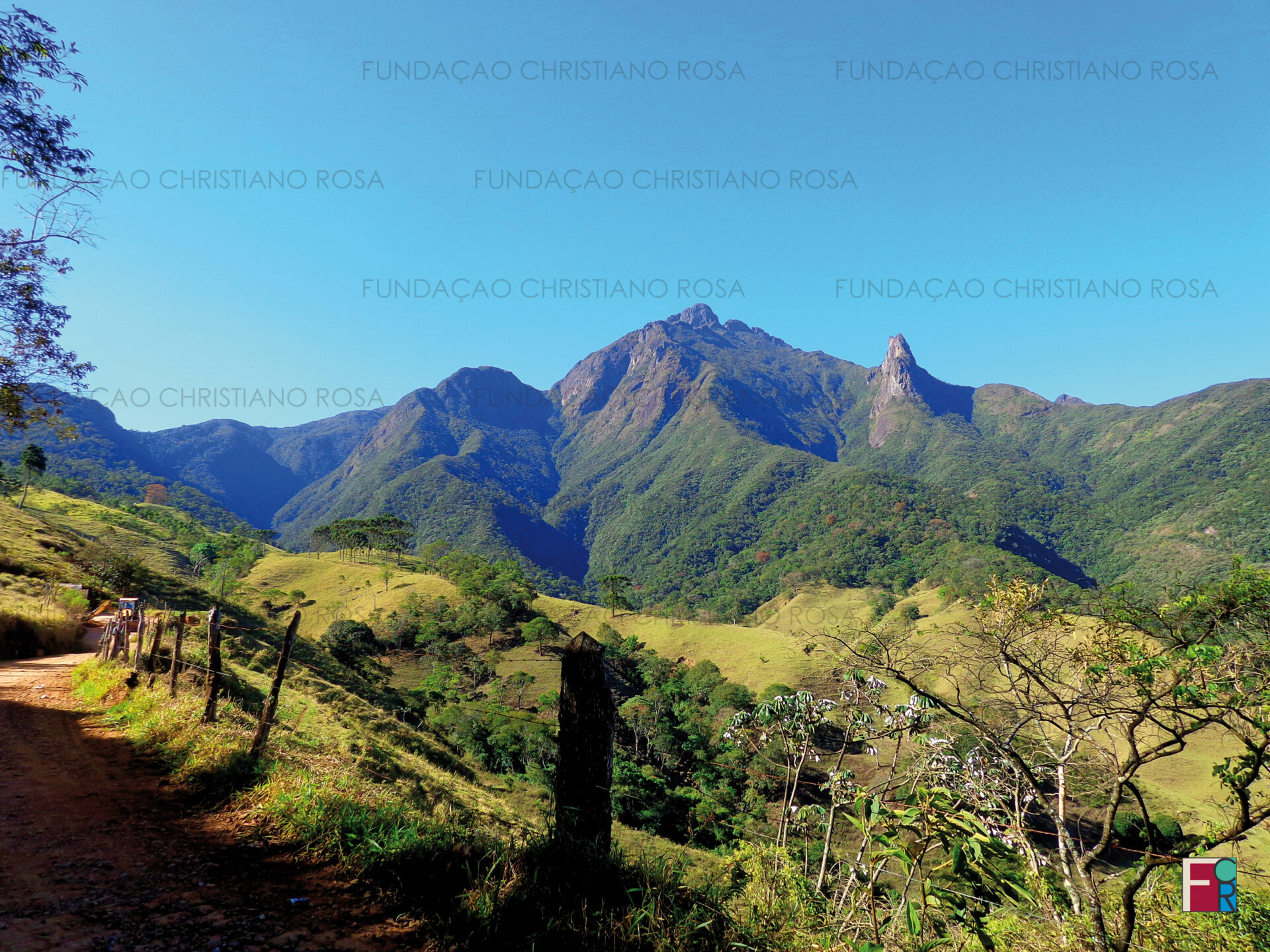 Piquete, paraíso para observadores de pássaros