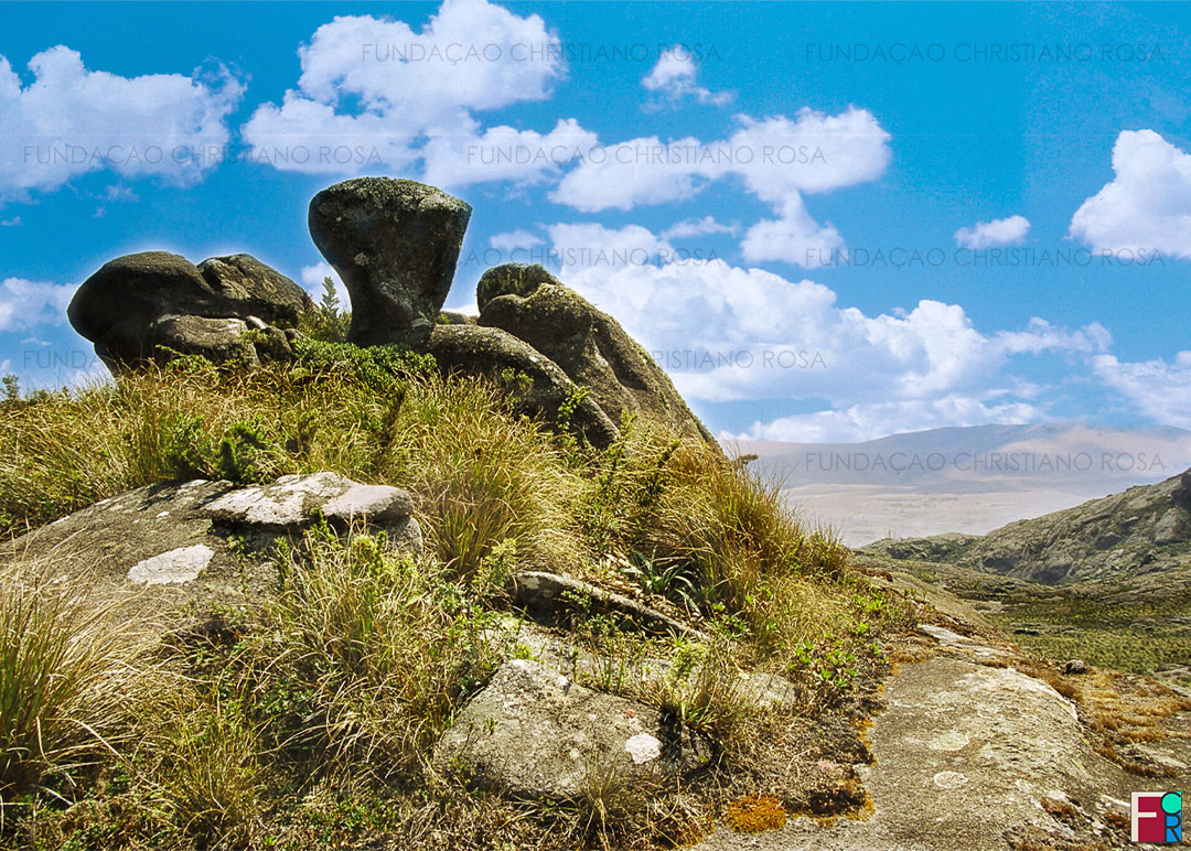 Trecho da trilha que leva ao Pico dos Marins. Fotografia tirada por ocasião do projeto "Conscientização e Percepção Ambiental da Bacia Hidrográfica do ribeirão Passa Quatro ao Paraíba do Sul", executado pela Fundação Christiano Rosa entre os anos de 2003 e 2004.