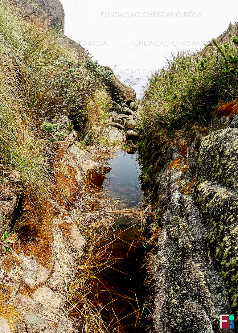 Nascente do ribeirão Passa Quatro, a cerca de 2.000 metros de altitude. Fotografia tirada por ocasião do projeto "Conscientização e Percepção Ambiental da Bacia Hidrográfica do ribeirão Passa Quatro ao Paraíba do Sul", executado pela Fundação Christiano Rosa entre os anos de 2003 e 2004.