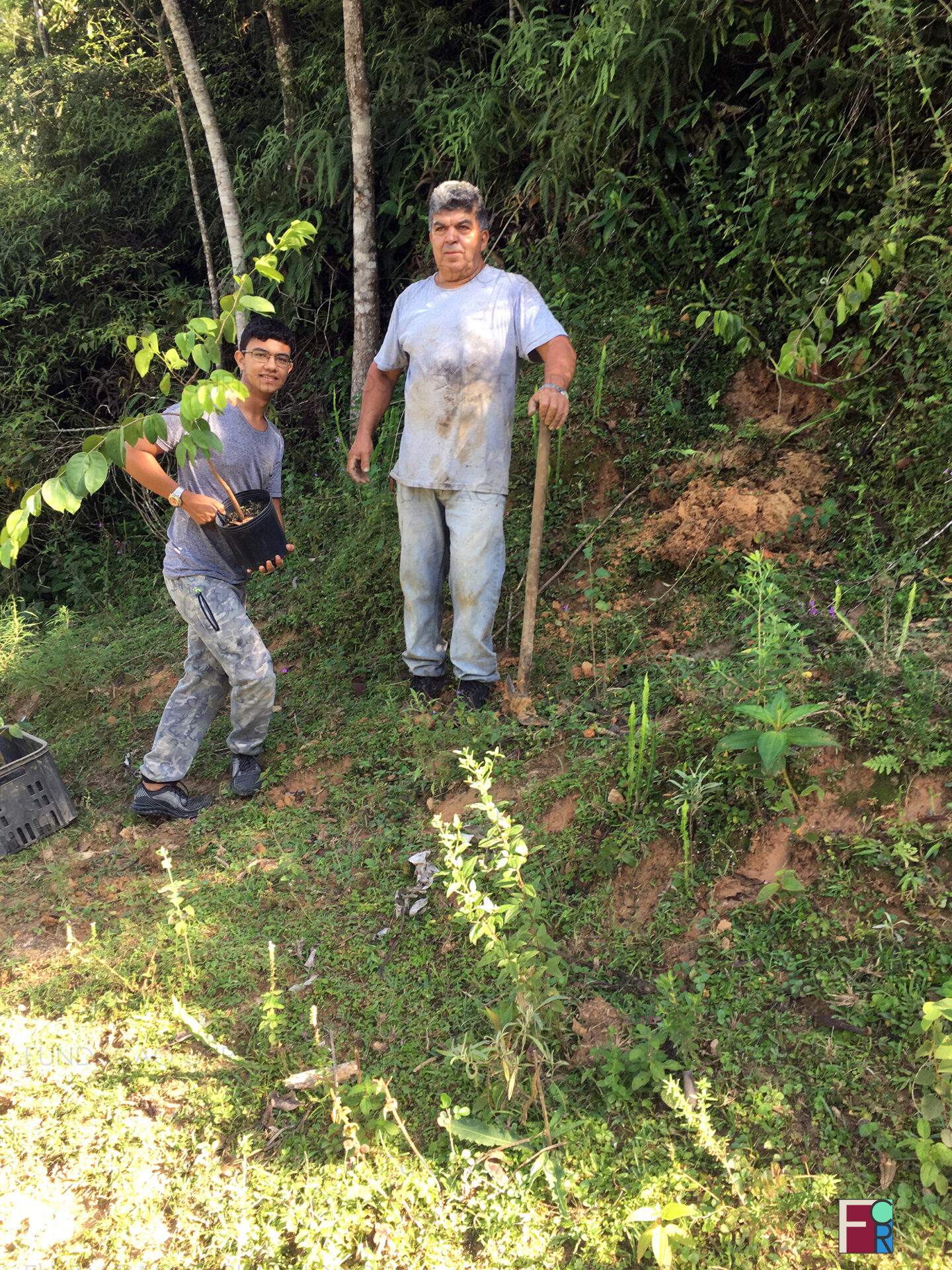 Plantio de mudas da espécie "Jatobá" em encostas, campos e em trechos do Ribeirão Benfica, em Piquete,SP.