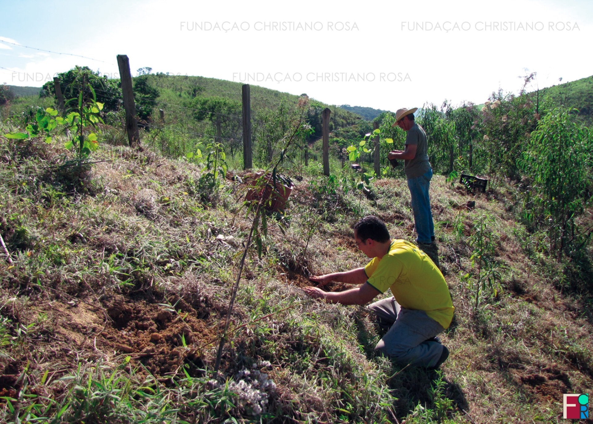 Plantio de mudas para recomposição de mata ciliar do Ribeirão Limeira em terras da FPV.