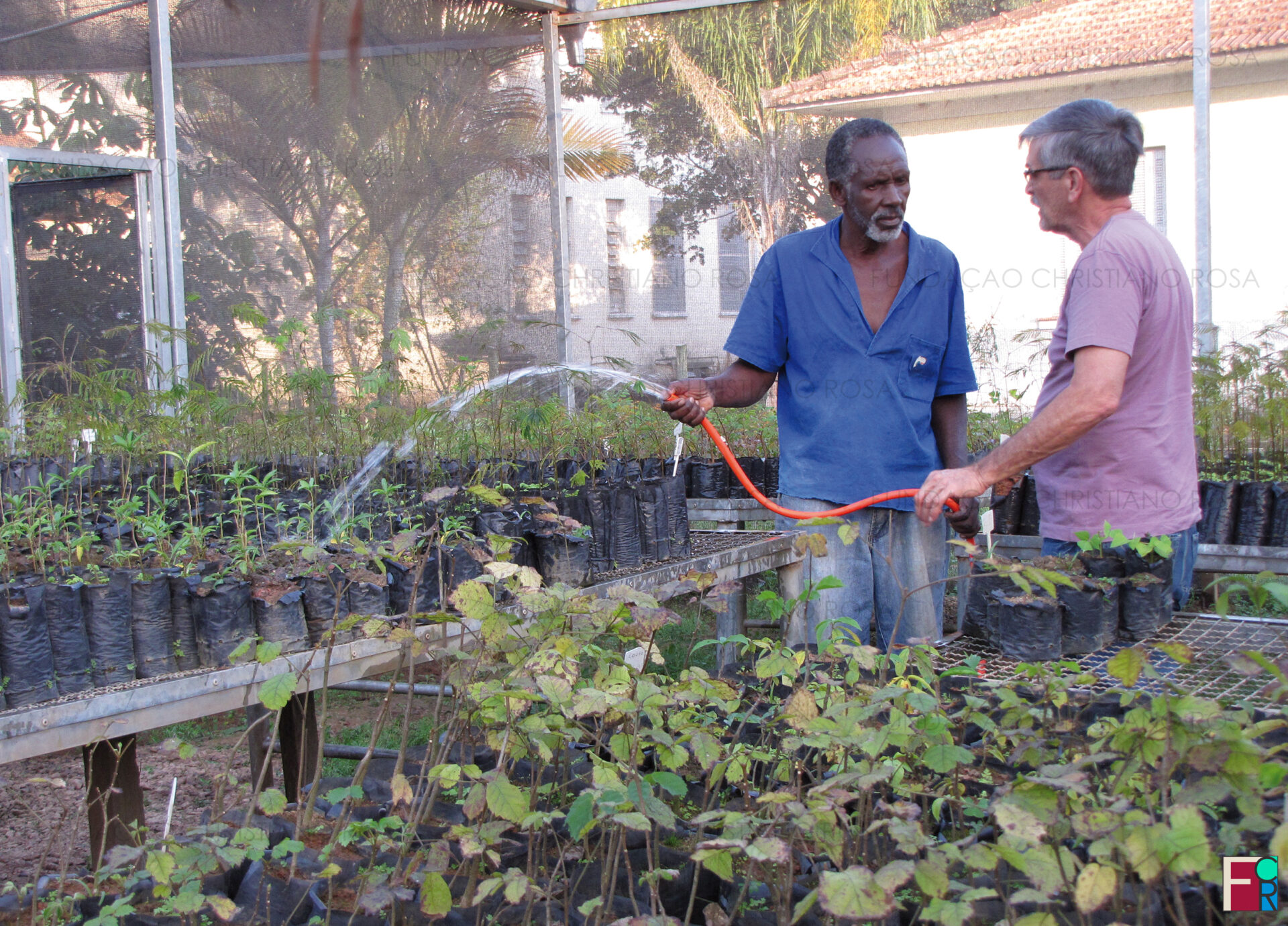 “Seu Dengo” (à esquerda) e Paulo Noia de Miranda no viveiro de mudas da Fundação Christiano Rosa.