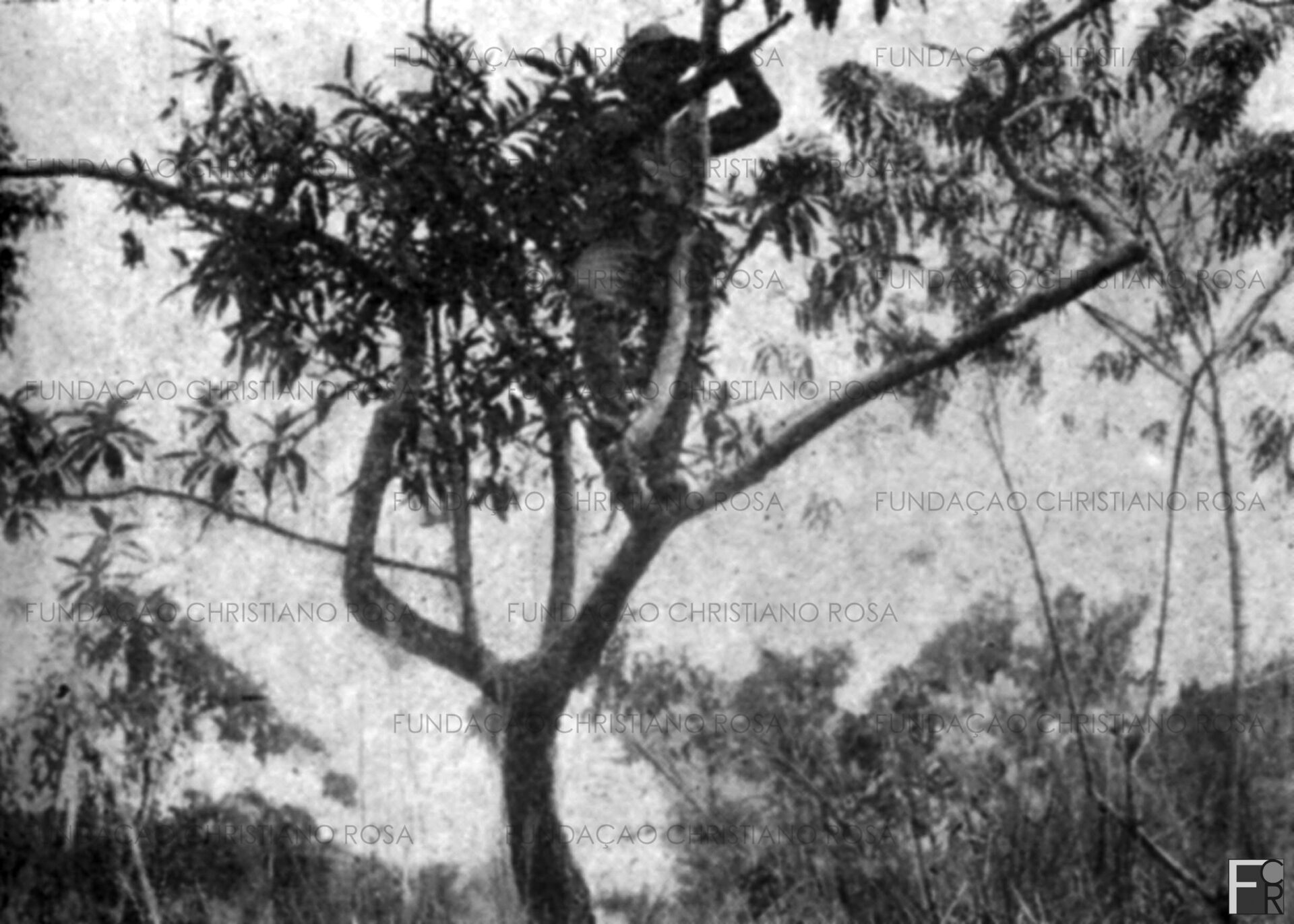 Sentinela avançada, no Córrego Fundo, em área da Fábrica de Pólvora sem Fumaça, em Piquete, SP.
