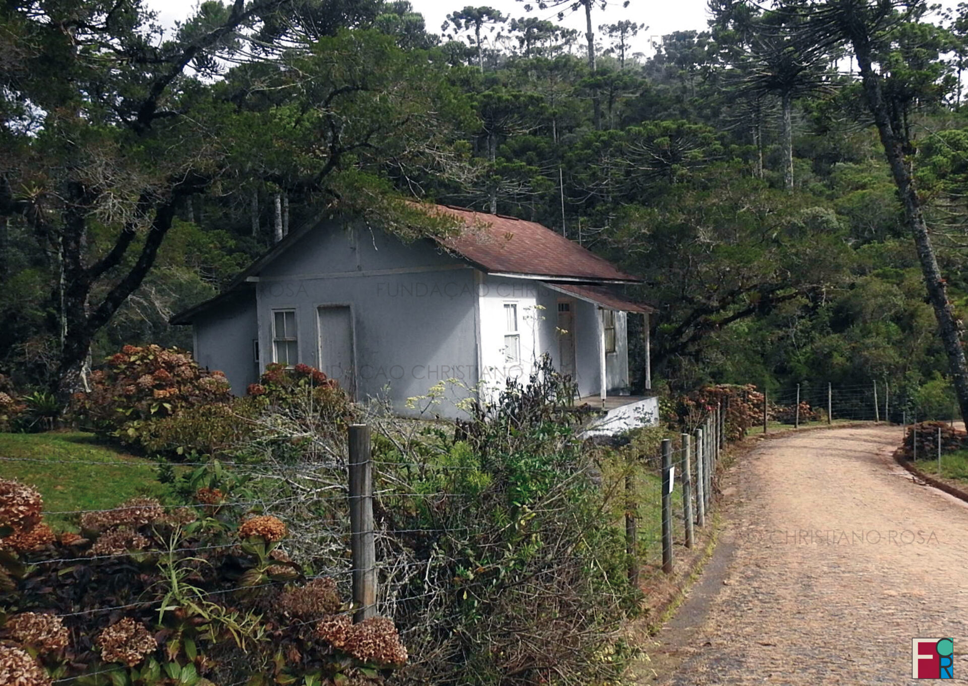 Ruínas do Sanatório Militar em foto de Maio de 2022.
