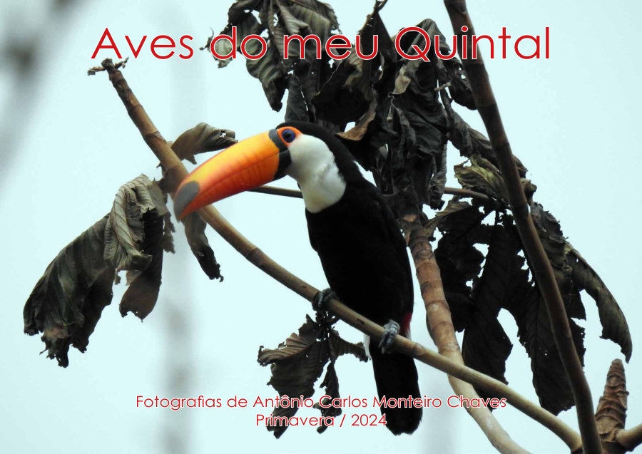 Capa de Aves do Meu Quintal