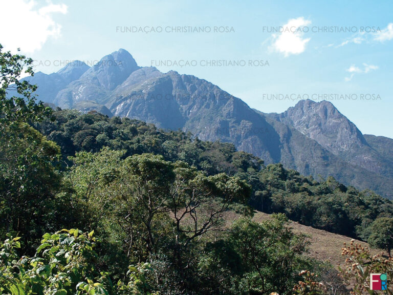 Serra da Mantiqueira – um paraíso ameaçado