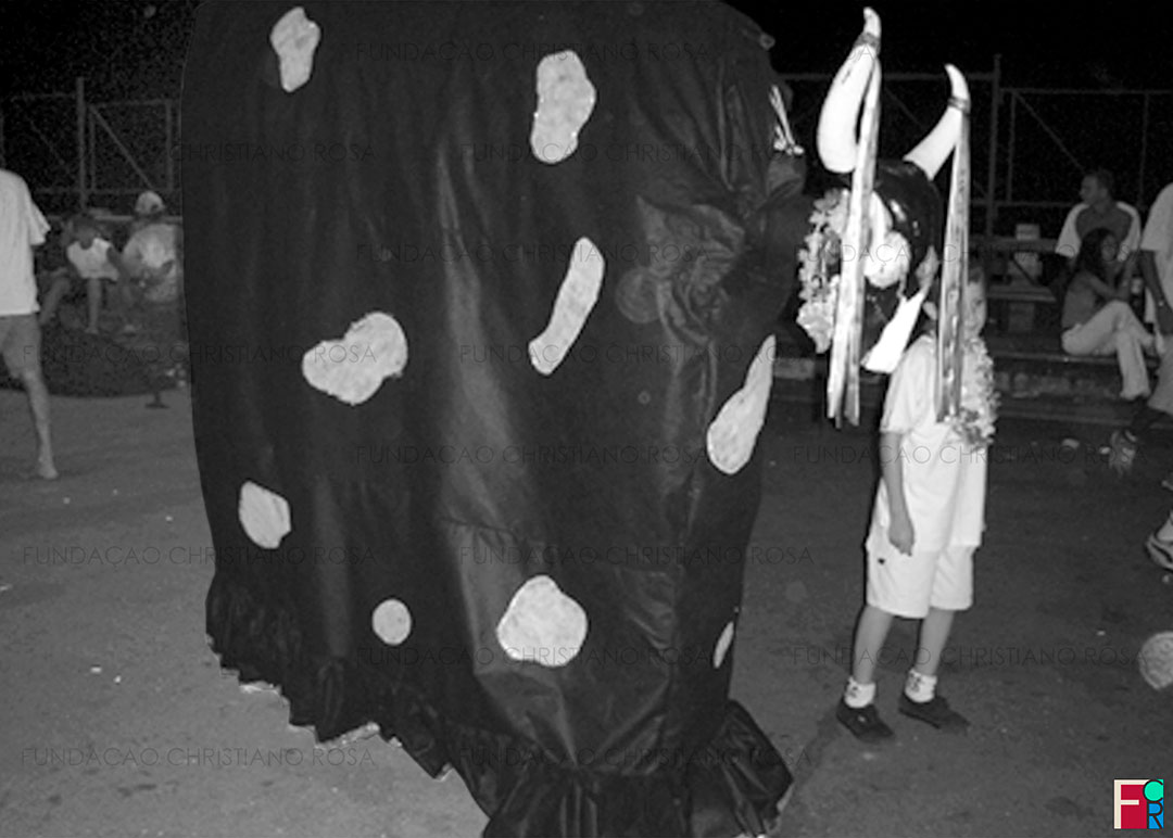 Boi de Carnaval nas ruas de Piquete/SP.